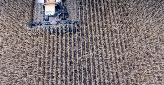 CLAAS and Geringhoff Headers