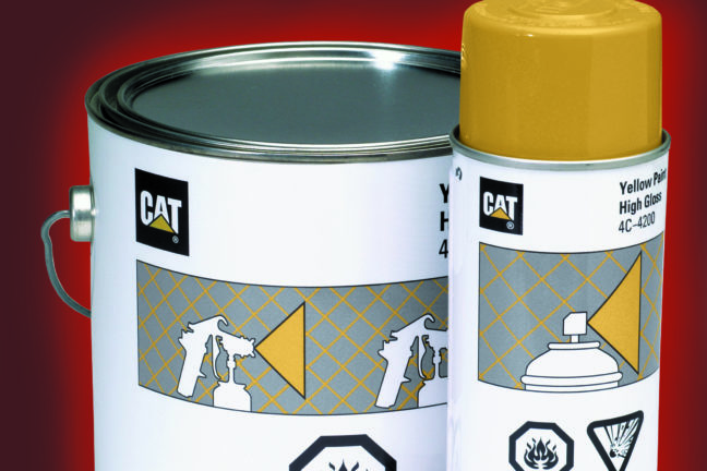 Cat Paint Special