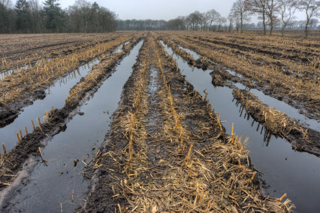 Wet harvest, flooded field, tips for wet harvest season, farming tips, agricultural tips, farming blog, ag blog