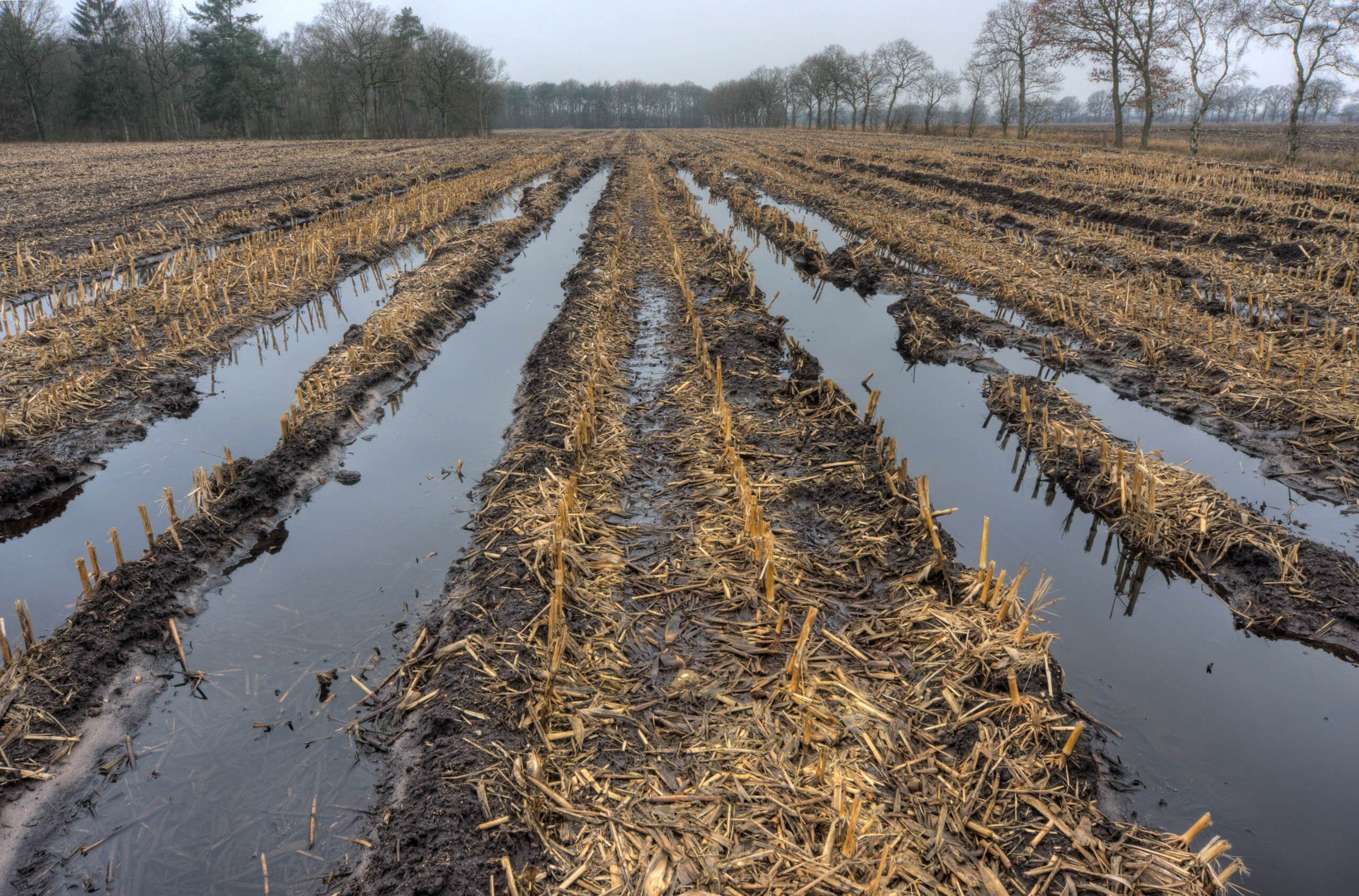 Wet harvest, flooded field, tips for wet harvest season, farming tips, agricultural tips, farming blog, ag blog