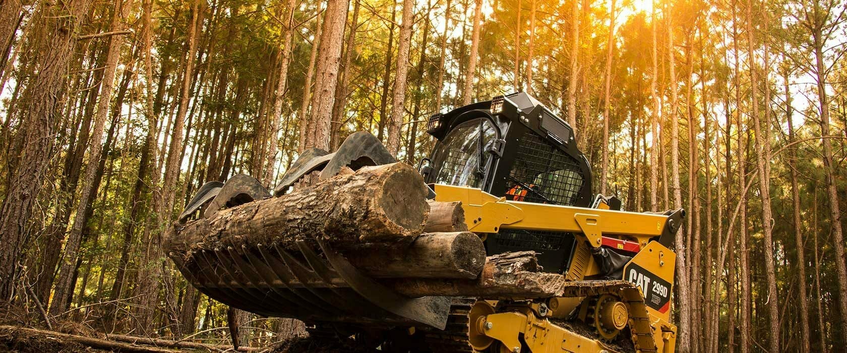 Cat Skid Steer in Forest