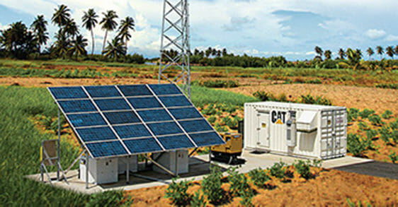 solar panel in a field with palm trees in the background