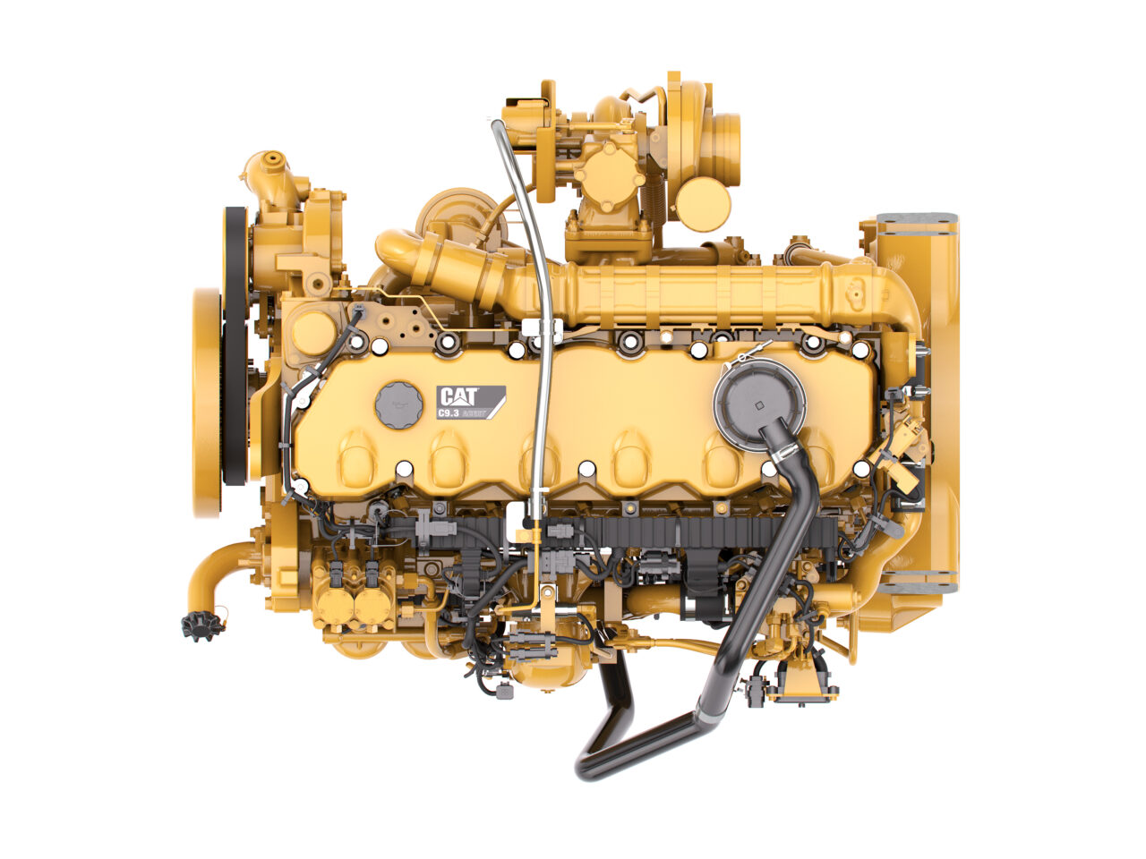 Specials Ziegler Cat