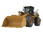 Cat Rental